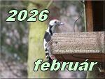 februar 2026